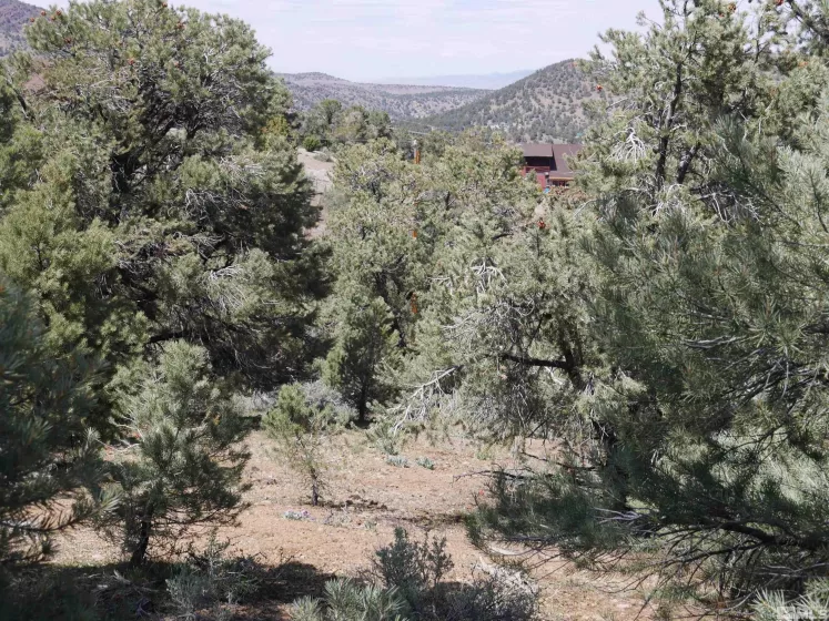 2165 Hermit, Reno, Nevada 89521, ,Land,Residential,Hermit,250005581