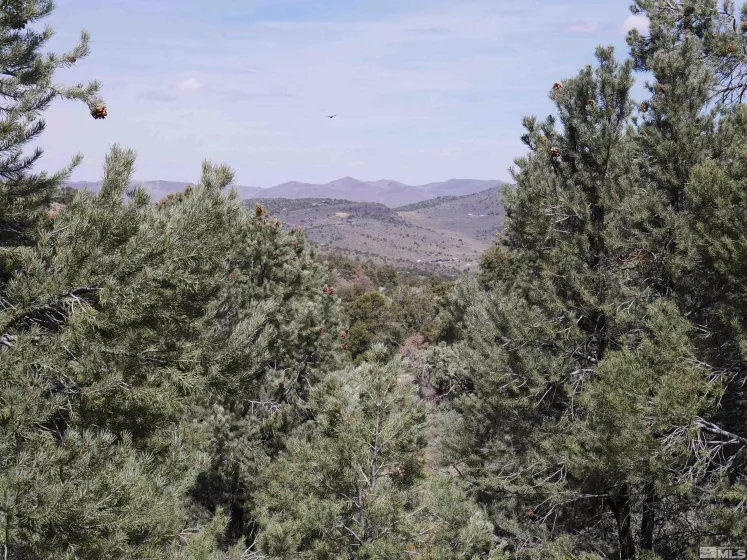 2165 Hermit, Reno, Nevada 89521, ,Land,Residential,Hermit,250005581