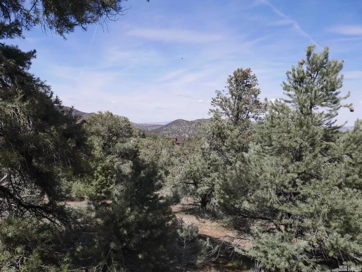 2165 Hermit, Reno, Nevada 89521, ,Land,Residential,Hermit,250005581