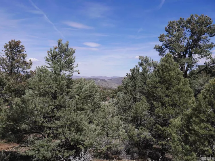 2165 Hermit, Reno, Nevada 89521, ,Land,Residential,Hermit,250005581