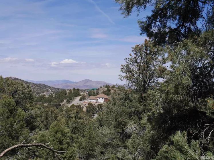 2165 Hermit, Reno, Nevada 89521, ,Land,Residential,Hermit,250005581