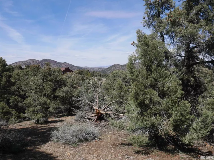 2165 Hermit, Reno, Nevada 89521, ,Land,Residential,Hermit,250005581