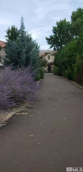 485 Haleb, Reno, Nevada 89521, 3 Bedrooms Bedrooms, ,2 BathroomsBathrooms,Residential,Residential,Haleb,250004757