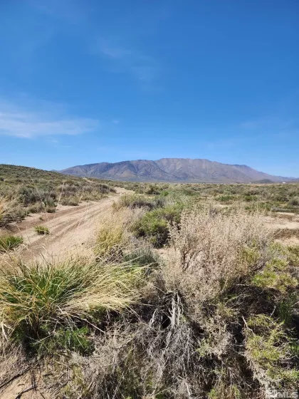 6100 Grass Valley, Reno, Nevada 89510, ,Land,Residential,Grass Valley,240004728
