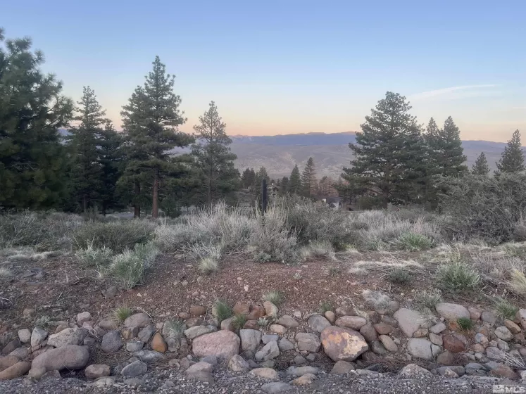 4690 Pinewild, Reno, Nevada 89511, ,Land,Residential,Pinewild,250005237