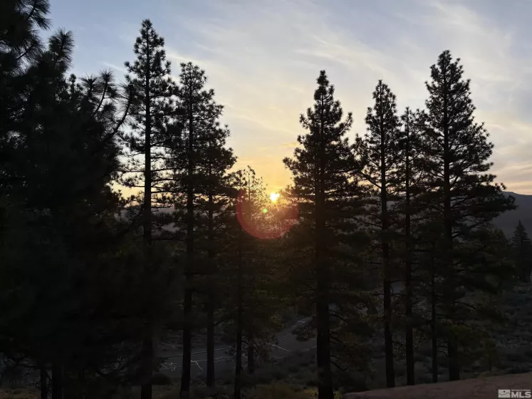 4690 Pinewild, Reno, Nevada 89511, ,Land,Residential,Pinewild,250005237