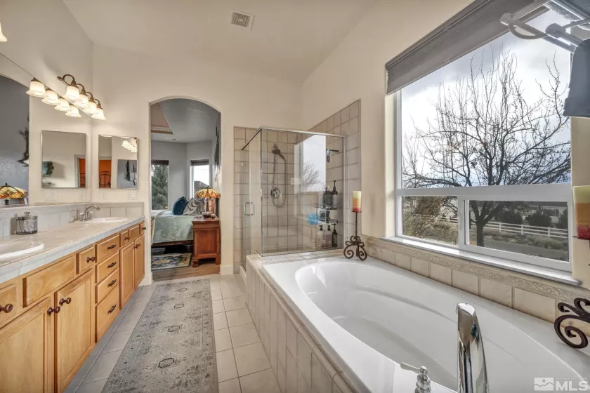 1655 Chiquita, Minden, Nevada 89423, 3 Bedrooms Bedrooms, ,3 BathroomsBathrooms,Residential,Residential,Chiquita,250001338