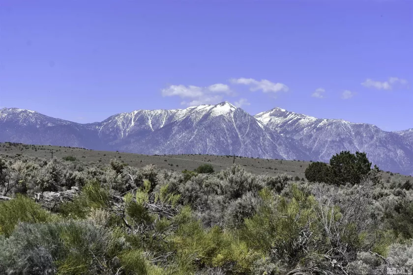 TBD Homestead, Gardnerville, Nevada 89410, ,Land,Residential,Homestead,240012887
