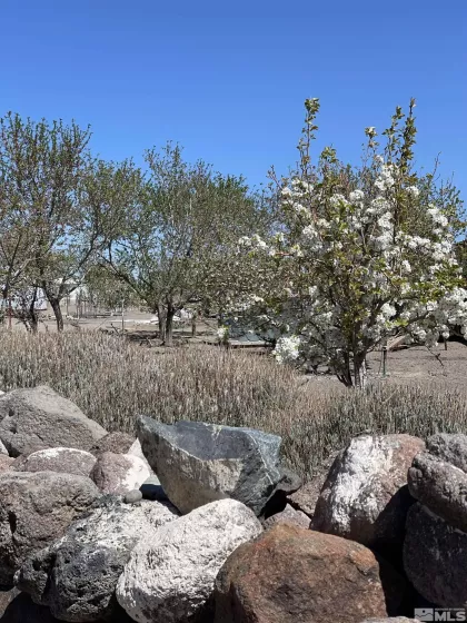 5520 Navajo, Stagecoach, Nevada 89429, 2 Bedrooms Bedrooms, ,2 BathroomsBathrooms,Residential,Residential,Navajo,250005138