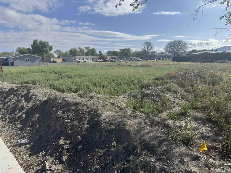 470 Camellia, Lovelock, Nevada 89419, ,Land,Residential,Camellia,250005597