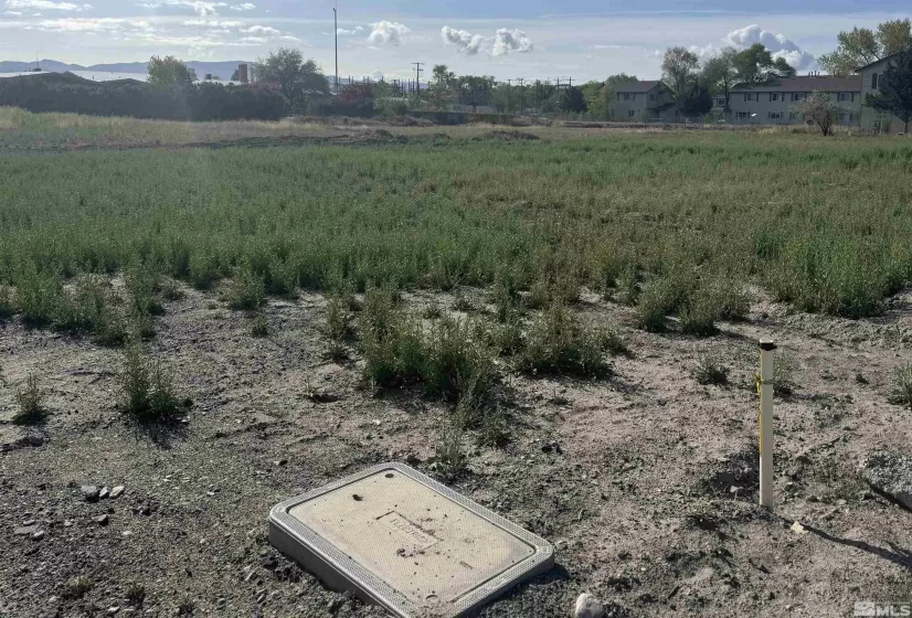 480 Camellia, Lovelock, Nevada 89419, ,Land,Residential,Camellia,250005588