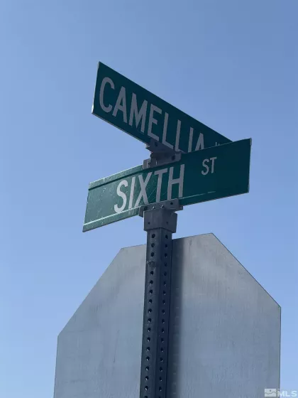 480 Camellia, Lovelock, Nevada 89419, ,Land,Residential,Camellia,250005588