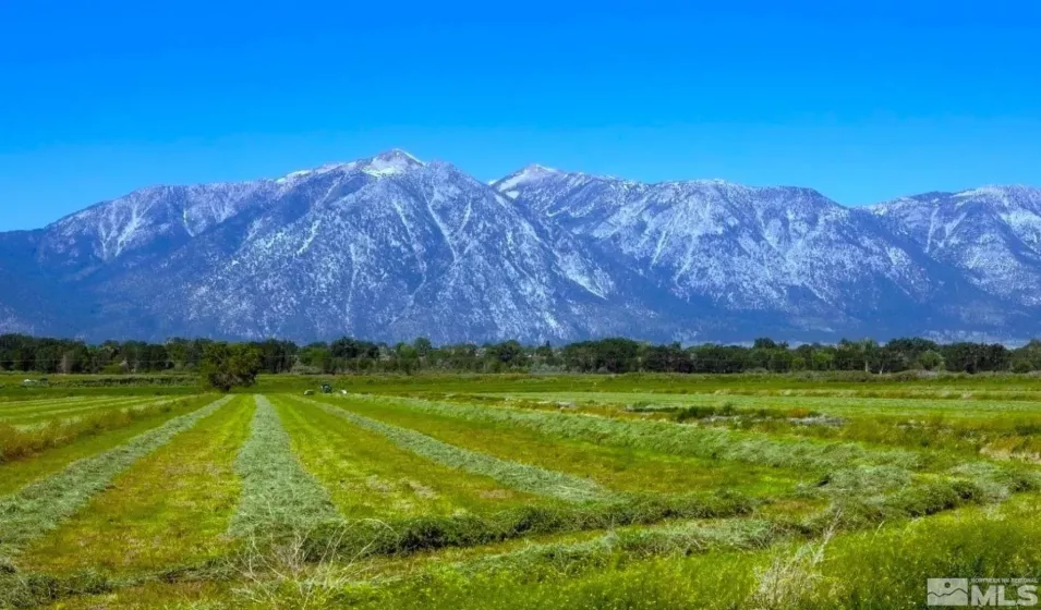 000 Pinenut, Gardnerville, Nevada 89410, ,Land,Residential,Pinenut,240001241