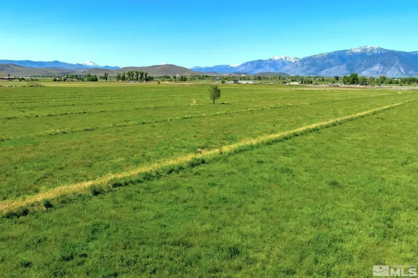 000 Pinenut, Gardnerville, Nevada 89410, ,Land,Residential,Pinenut,240001241
