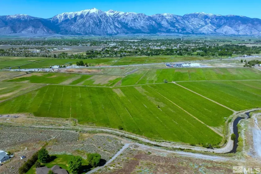 000 Pinenut, Gardnerville, Nevada 89410, ,Land,Residential,Pinenut,240001241
