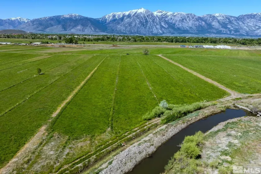 000 Pinenut, Gardnerville, Nevada 89410, ,Land,Residential,Pinenut,240001241