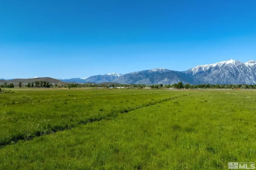 000 Pinenut, Gardnerville, Nevada 89410, ,Land,Residential,Pinenut,240001241
