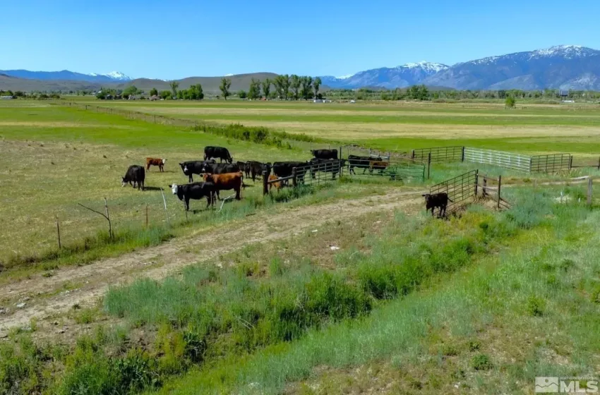 000 Pinenut, Gardnerville, Nevada 89410, ,Land,Residential,Pinenut,240001241