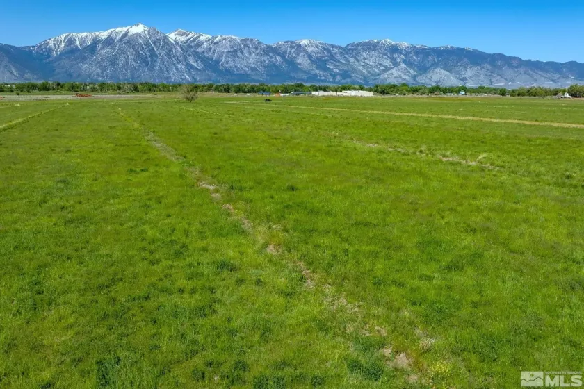 000 Pinenut, Gardnerville, Nevada 89410, ,Land,Residential,Pinenut,240001241