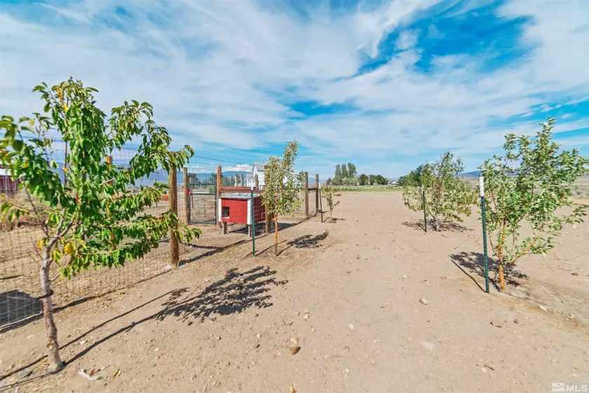 1723 Two Bell, Minden, Nevada 89423, 5 Bedrooms Bedrooms, ,2 BathroomsBathrooms,Residential,Residential,Two Bell,240013029
