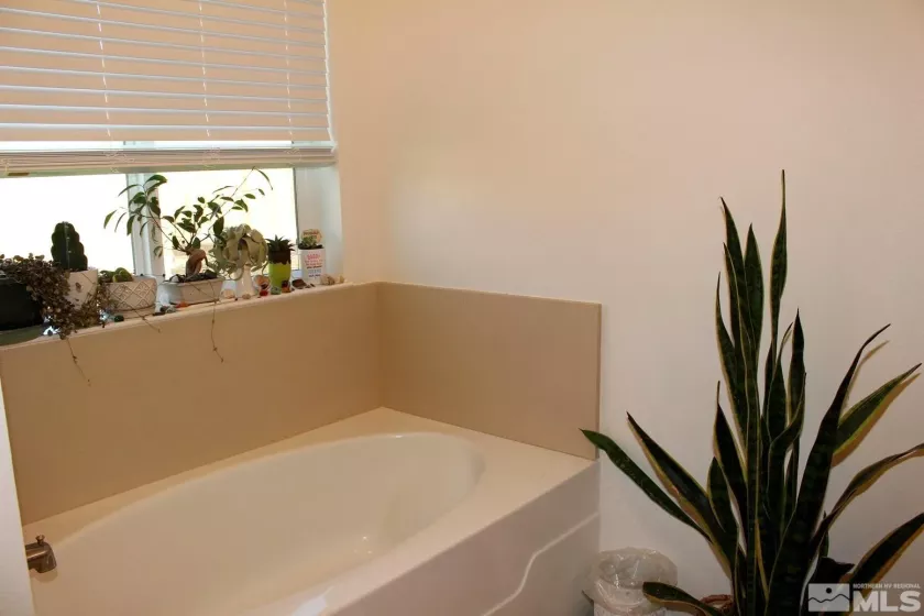 1332 Serenity, Fernley, Nevada 89408, 3 Bedrooms Bedrooms, ,2 BathroomsBathrooms,Residential,Residential,Serenity,250004235