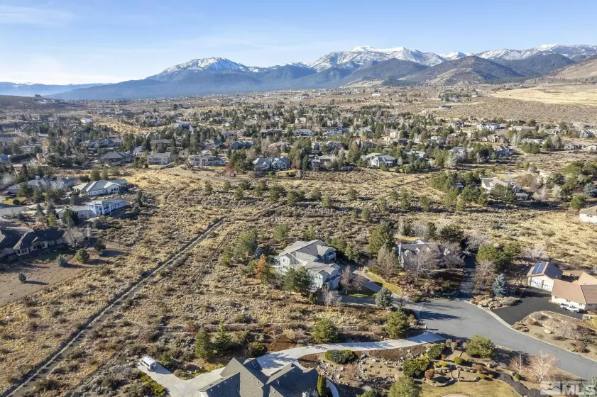 14245 Prairie Flower, Reno, Nevada 89511, 4 Bedrooms Bedrooms, ,4 BathroomsBathrooms,Residential,Residential,Prairie Flower,250005434