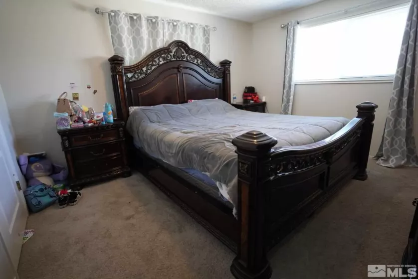 2733 Baker, Carson City, Nevada 89701, 3 Bedrooms Bedrooms, ,2 BathroomsBathrooms,Residential,Residential,Baker,250004193