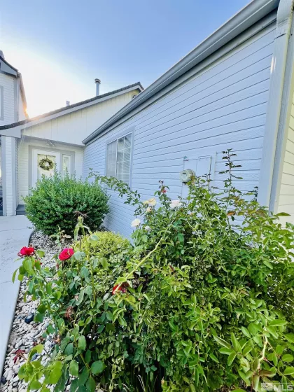 Side yard