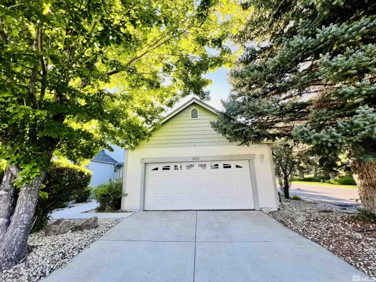 Driveway