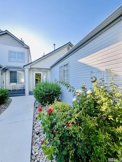 Side yard