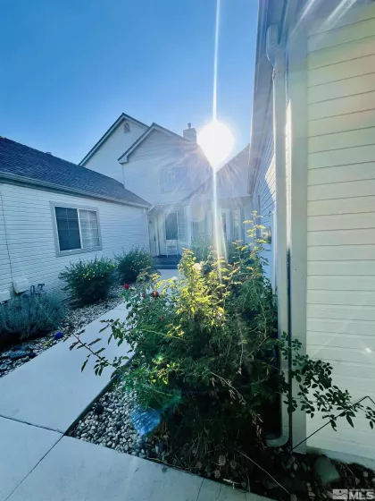 Side yard