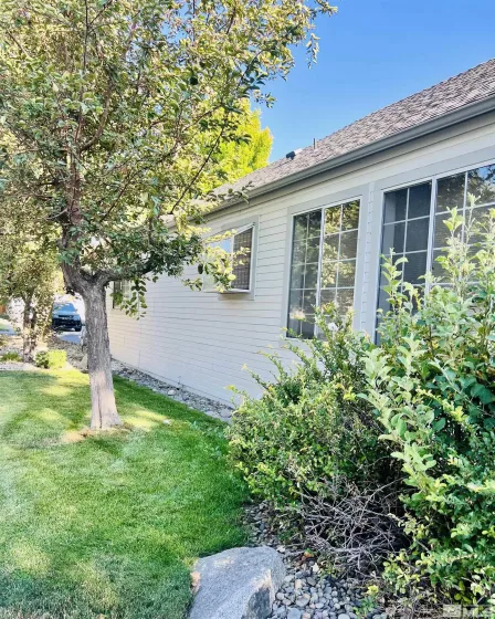 Side yard