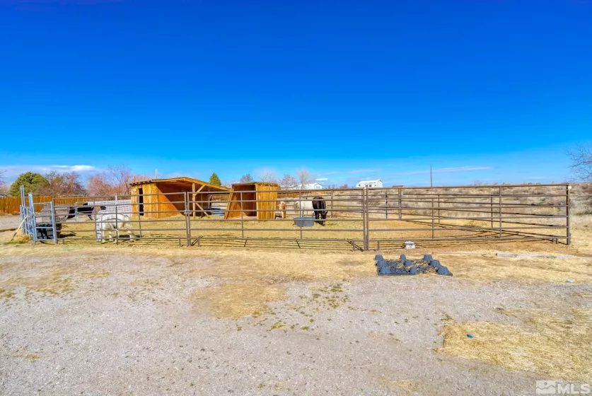 1253 Briggs, Fallon, Nevada 89406, 4 Bedrooms Bedrooms, ,2 BathroomsBathrooms,Residential,Residential,Briggs,250003479