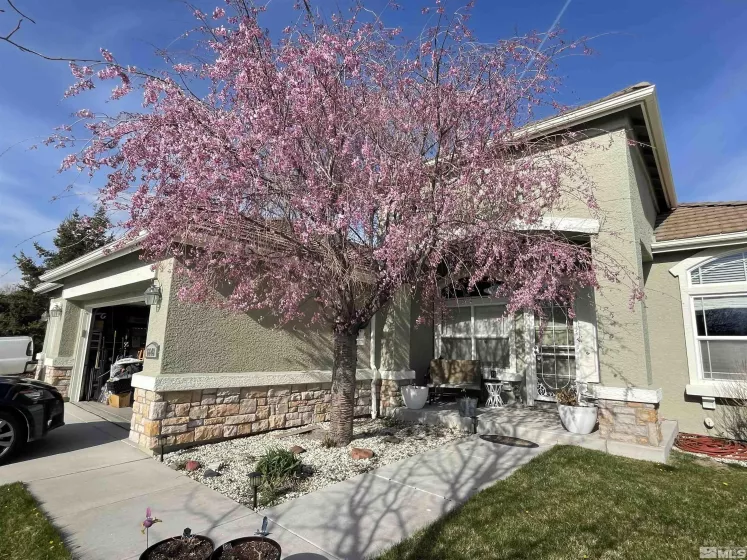 6648 Equation, Sparks, Nevada 89436, 3 Bedrooms Bedrooms, ,2 BathroomsBathrooms,Residential,Residential,Equation,250000958