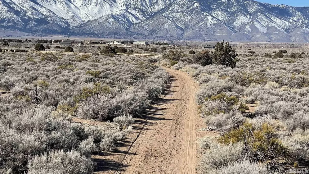 1290 Jo, Gardnerville, Nevada 89410, ,Land,Residential,Jo,230012486