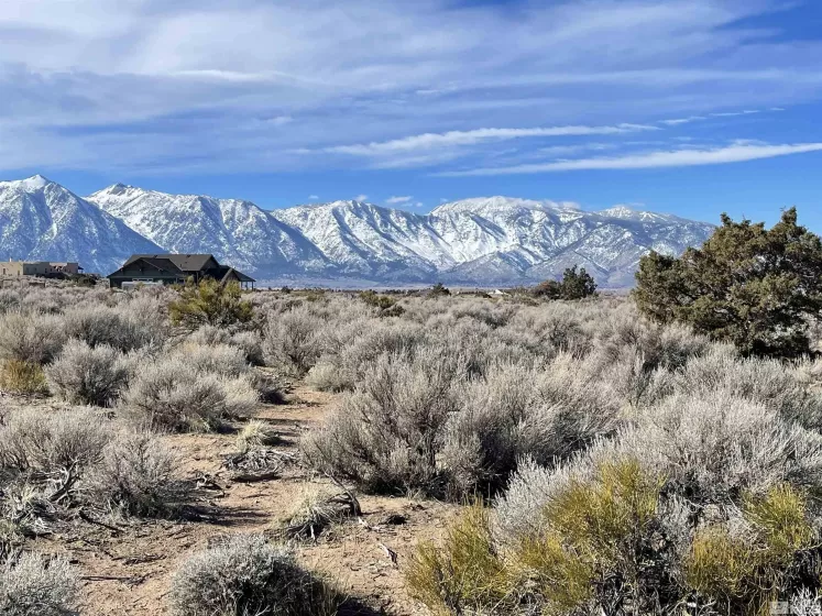 1290 Jo, Gardnerville, Nevada 89410, ,Land,Residential,Jo,230012486