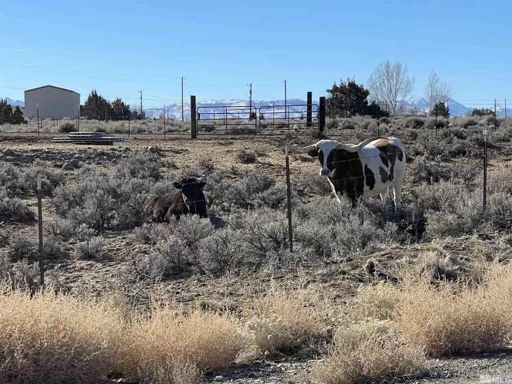 1290 Jo, Gardnerville, Nevada 89410, ,Land,Residential,Jo,230012486