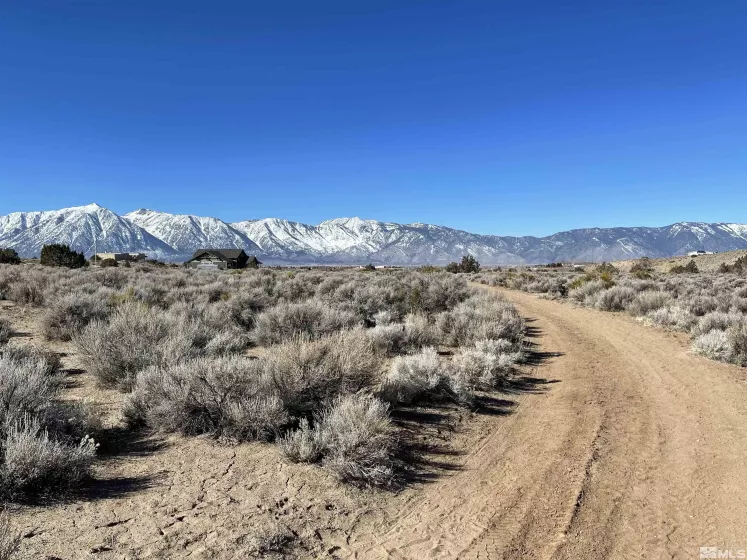 1290 Jo, Gardnerville, Nevada 89410, ,Land,Residential,Jo,230012486