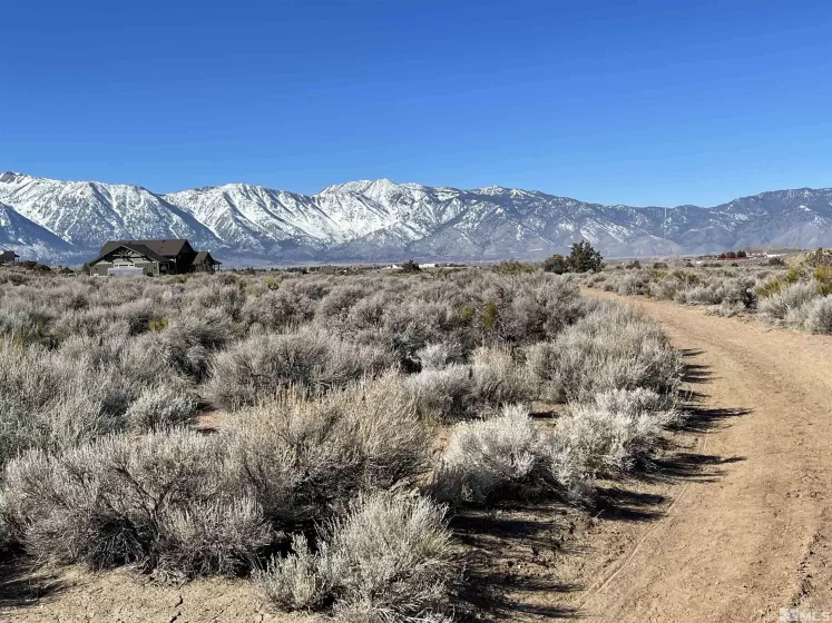 1290 Jo, Gardnerville, Nevada 89410, ,Land,Residential,Jo,230012486