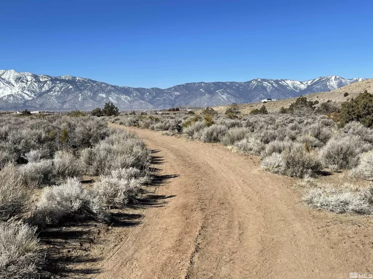 1290 Jo, Gardnerville, Nevada 89410, ,Land,Residential,Jo,230012486