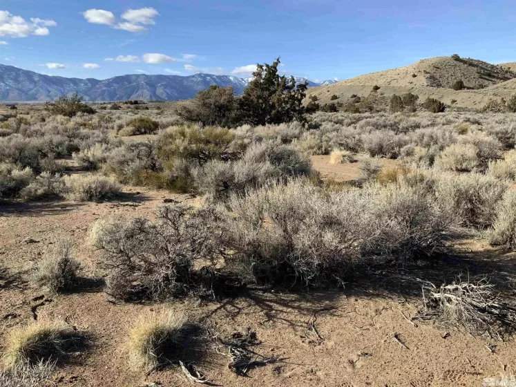 1290 Jo, Gardnerville, Nevada 89410, ,Land,Residential,Jo,230012486