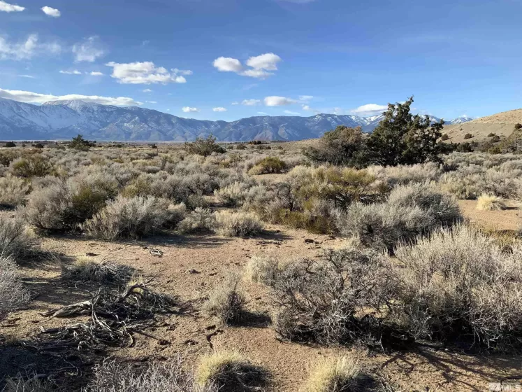 1290 Jo, Gardnerville, Nevada 89410, ,Land,Residential,Jo,230012486