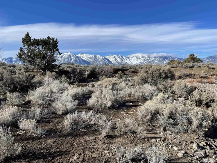 1290 Jo, Gardnerville, Nevada 89410, ,Land,Residential,Jo,230012486