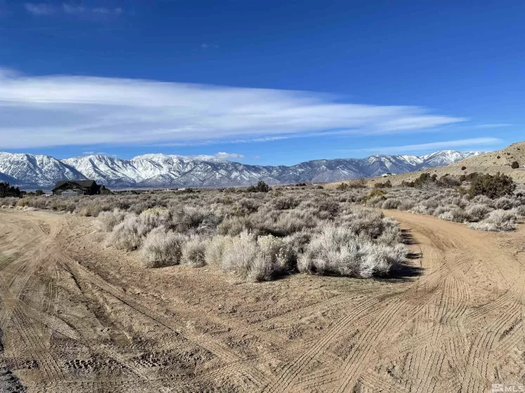 1290 Jo, Gardnerville, Nevada 89410, ,Land,Residential,Jo,230012486