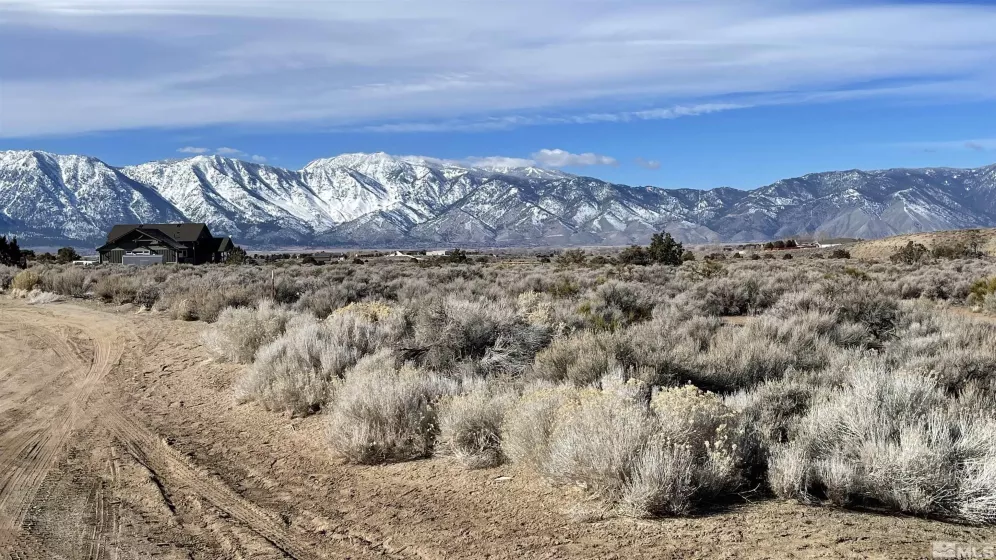 1290 Jo, Gardnerville, Nevada 89410, ,Land,Residential,Jo,230012486