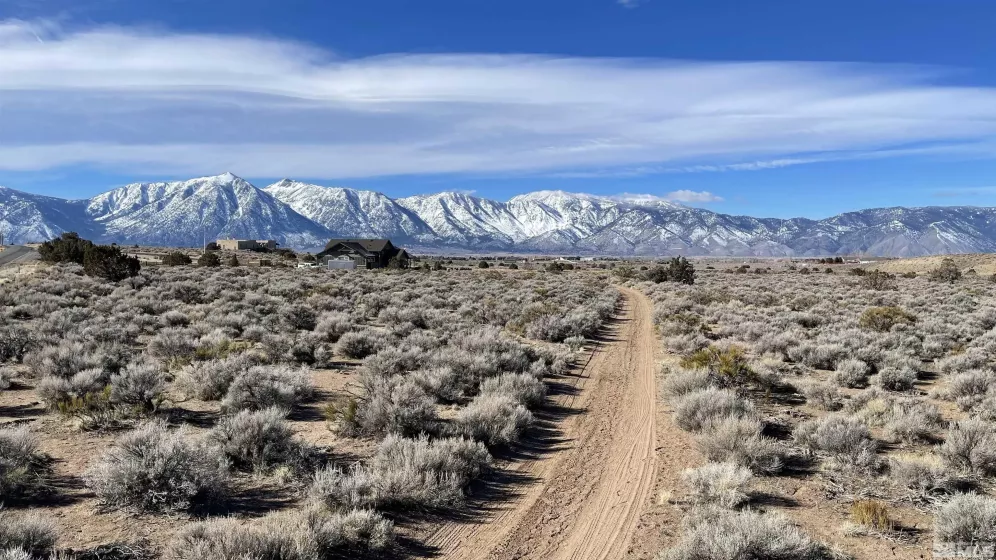 1290 Jo, Gardnerville, Nevada 89410, ,Land,Residential,Jo,230012486