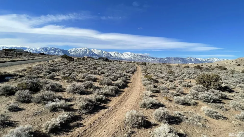 1290 Jo, Gardnerville, Nevada 89410, ,Land,Residential,Jo,230012486