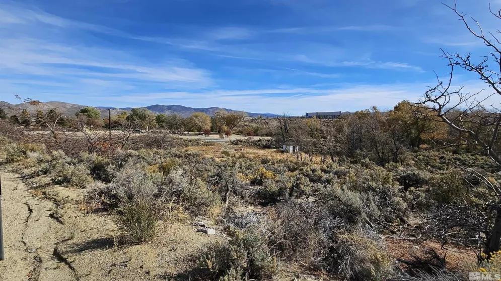 991 Clear Creek, Carson City, Nevada 89705, ,Land,Residential,Clear Creek,230012747