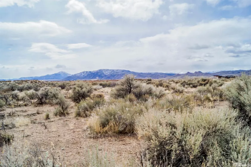 247 Artist View, Wellington, Nevada 89444, ,Land,Residential,Artist View,250003015