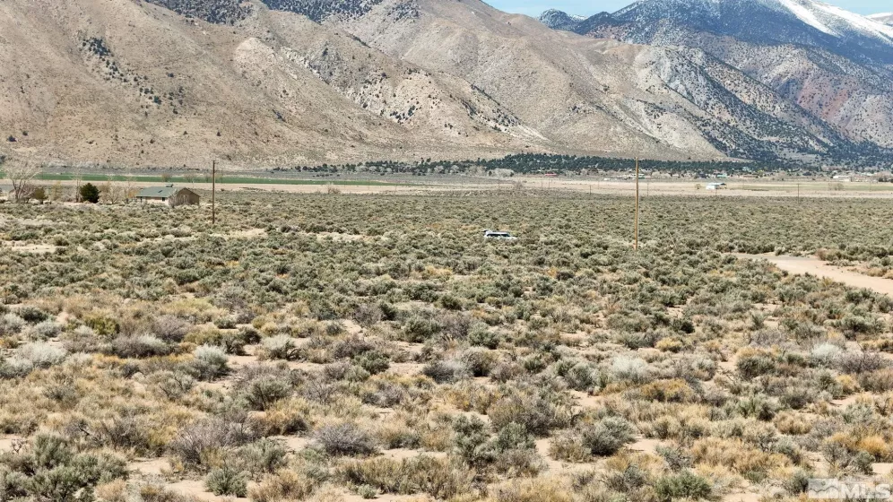 247 Artist View, Wellington, Nevada 89444, ,Land,Residential,Artist View,250003015